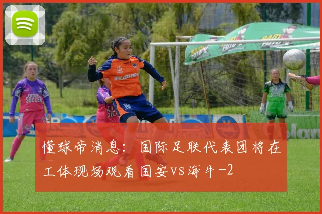 懂球帝消息：国际足联代表团将在工体现场观看国安vs海牛