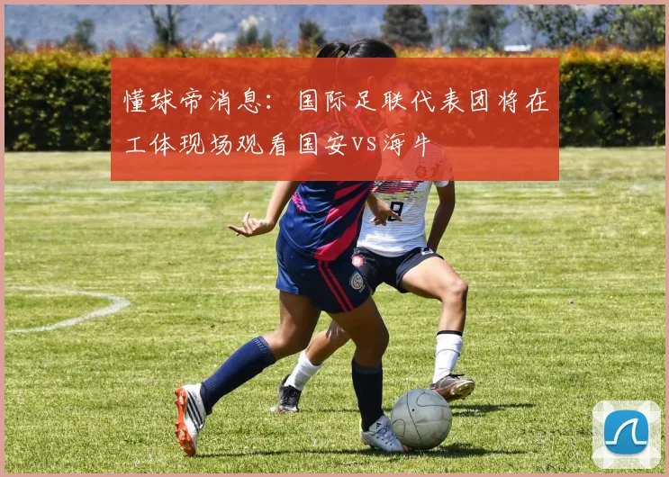 懂球帝消息：国际足联代表团将在工体现场观看国安vs海牛